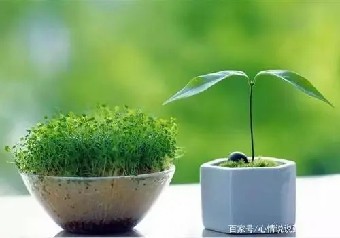 回来展示他们的所得并最终让新老板同意玛丽......《新时代领导力突破的关键》摘录